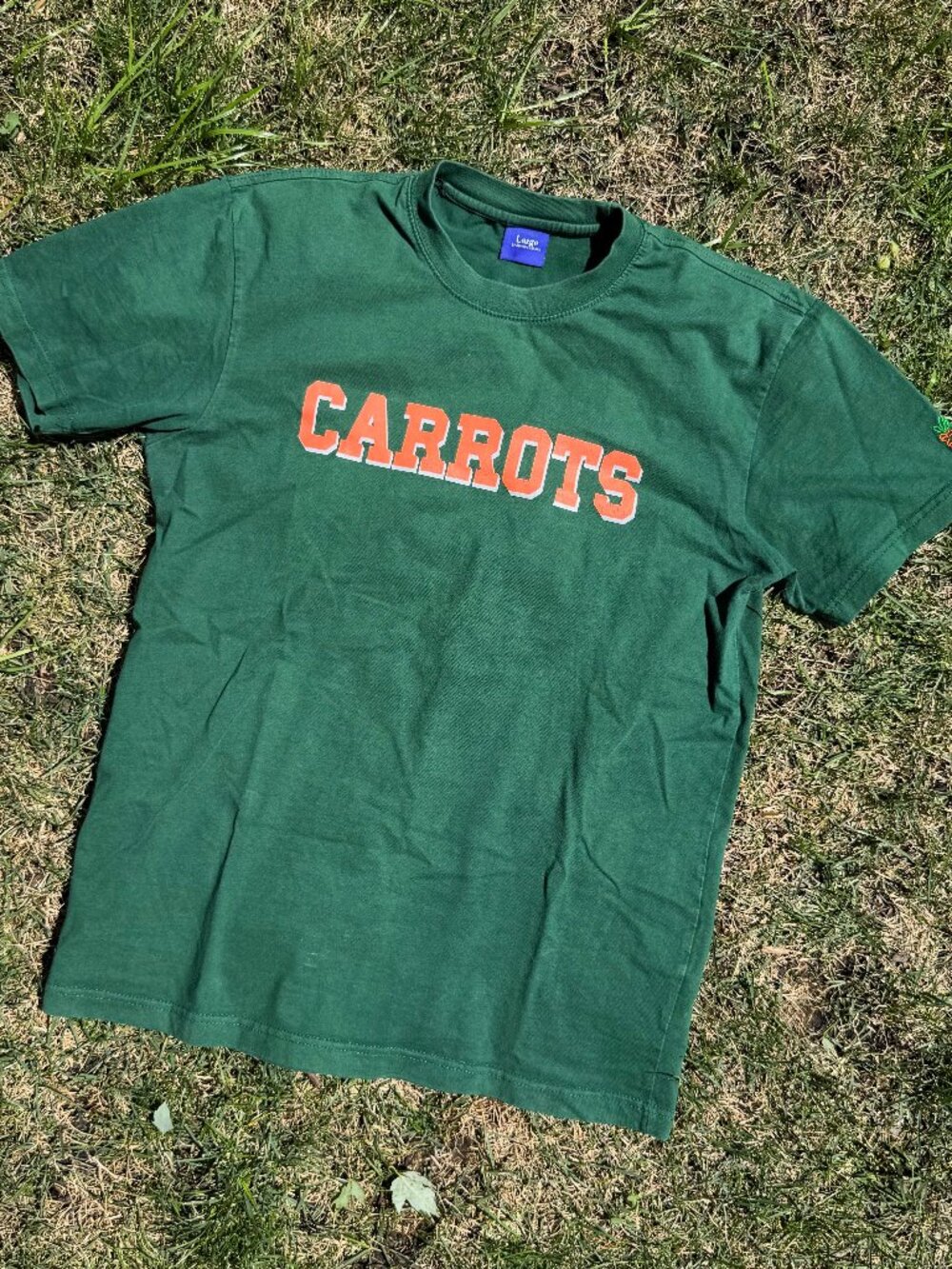 Carrots - Anwar Carrots T-Shirt (Men's) - Green